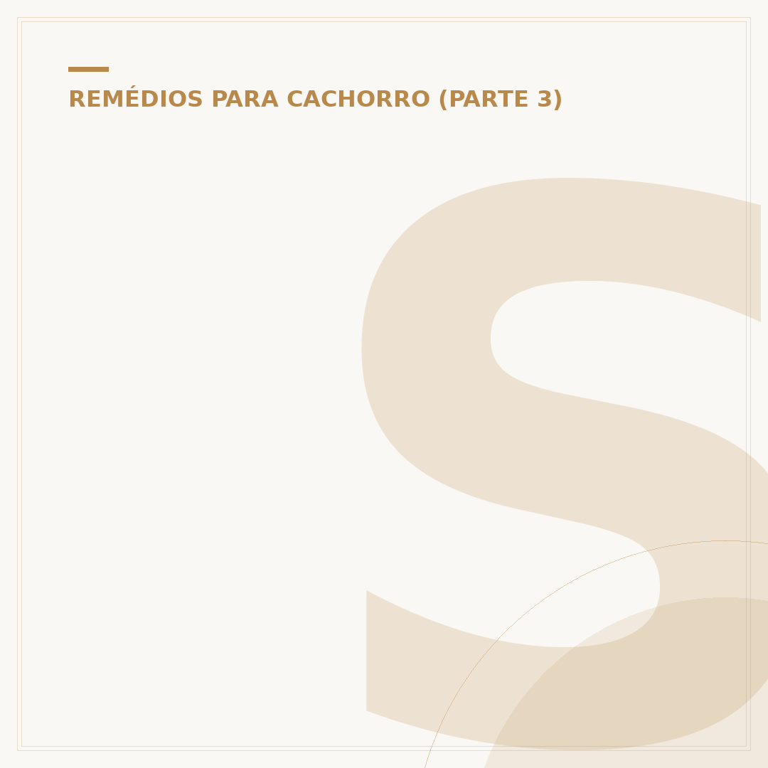 Sertralina para cachorro: riscos e alternativas