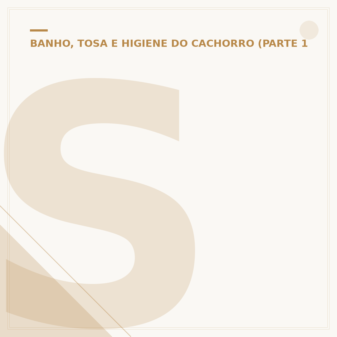 Shampoo antifúngico para cachorro