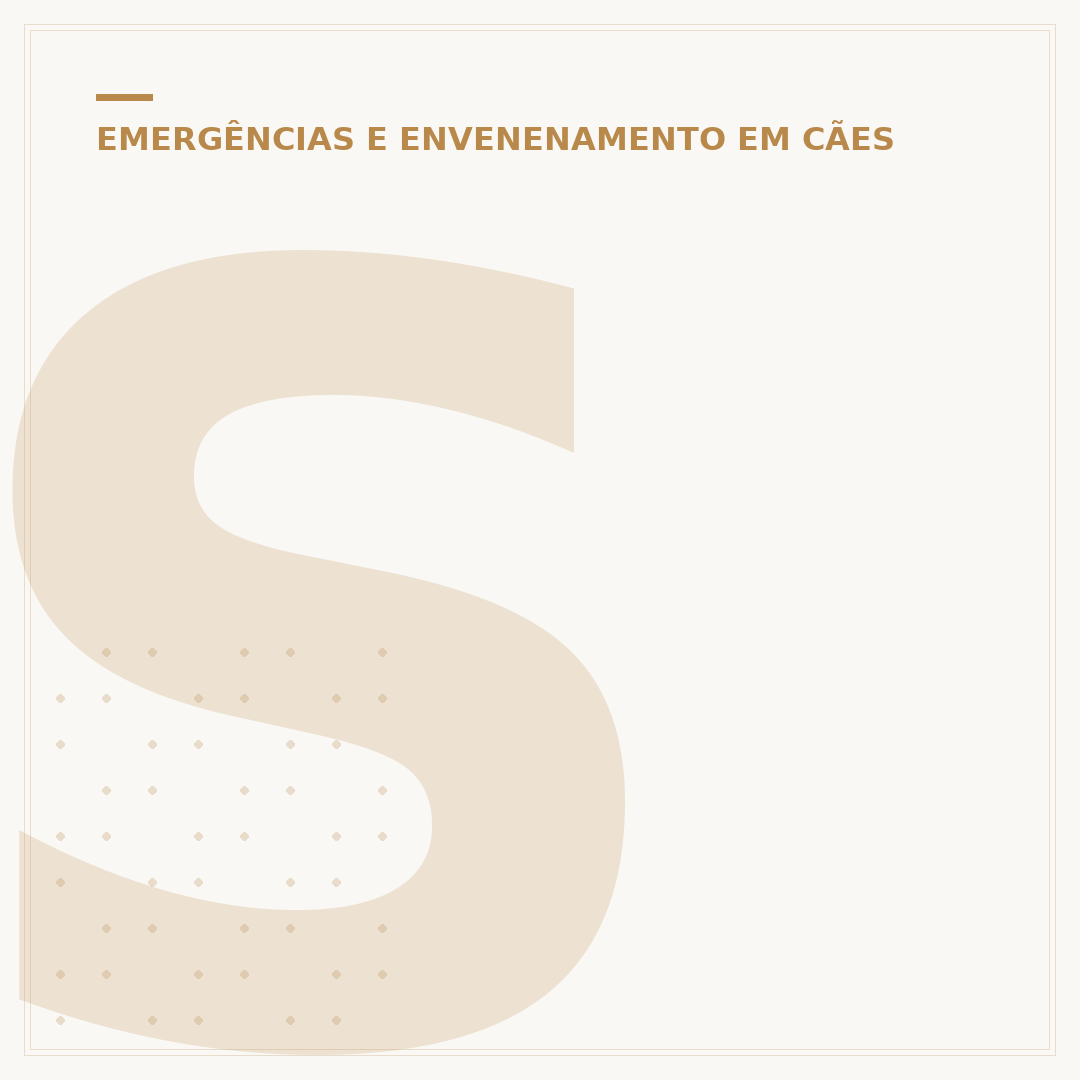 Sinais que o cachorro está morrendo de velhice