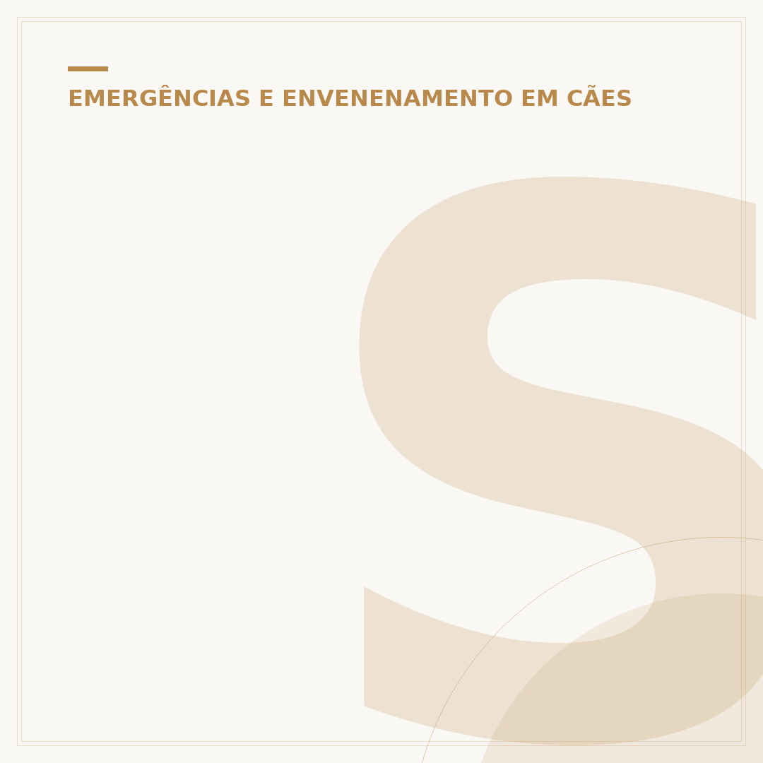 Sinais que o cachorro está morrendo: o que observar