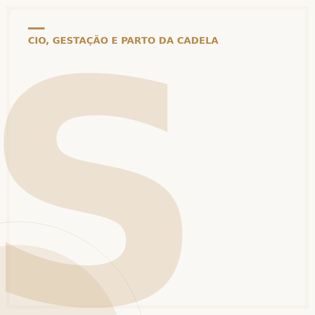 Sinais de que a cadela vai parir
