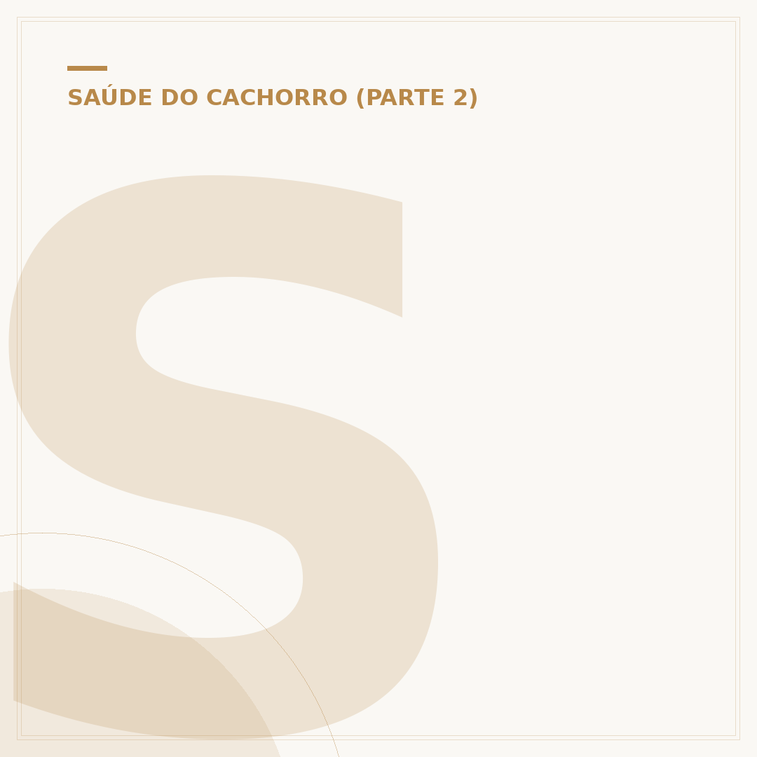 Sinais de diabetes em cachorro: o que observar