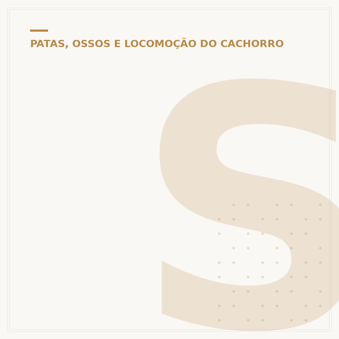 Sinais de displasia em cachorro: o que observar
