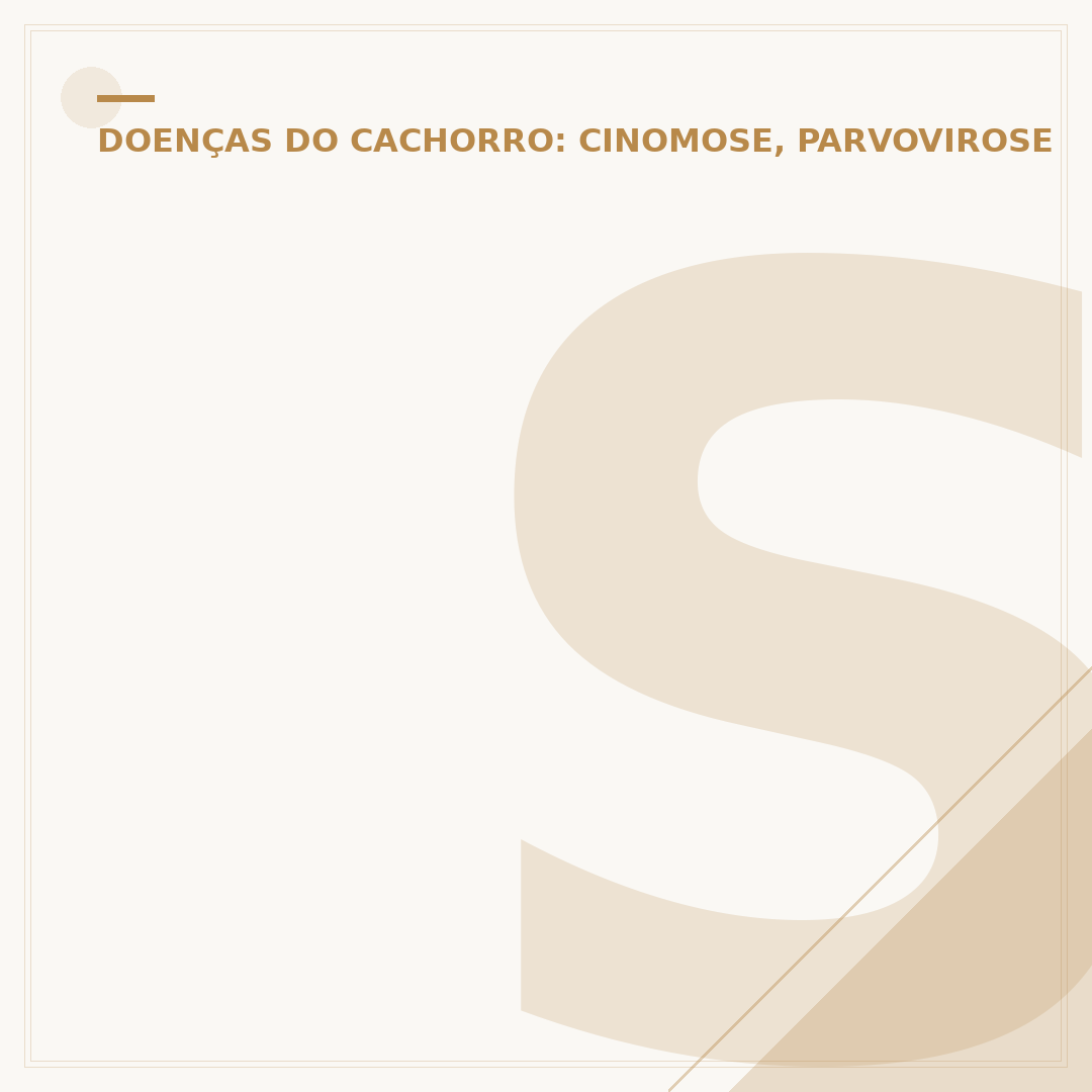 Sinais de parvovirose canina: o que você precisa saber