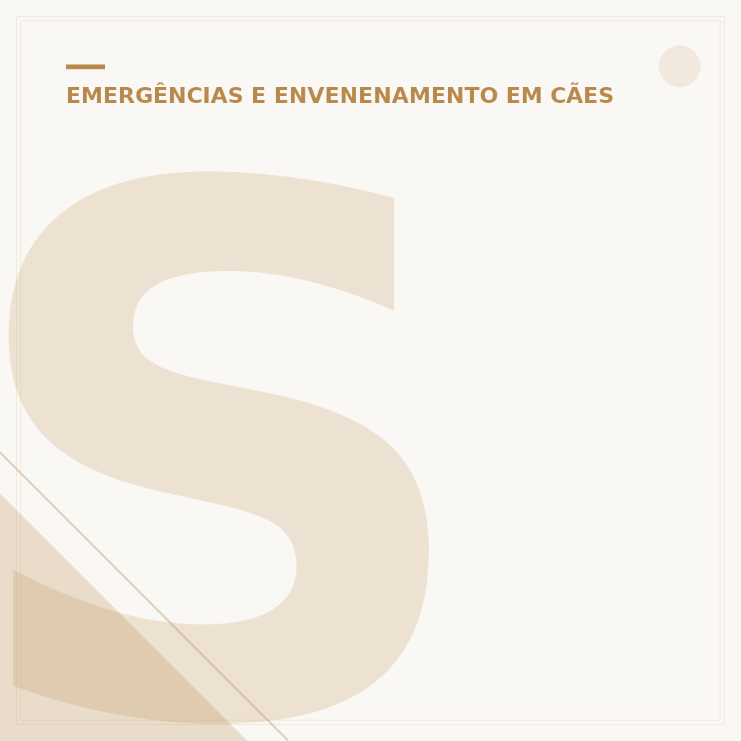Sintomas de envenenamento em cachorro: o que observar