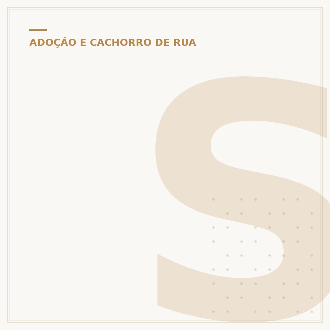 Site de adoção de cachorro: encontre seu novo amigo