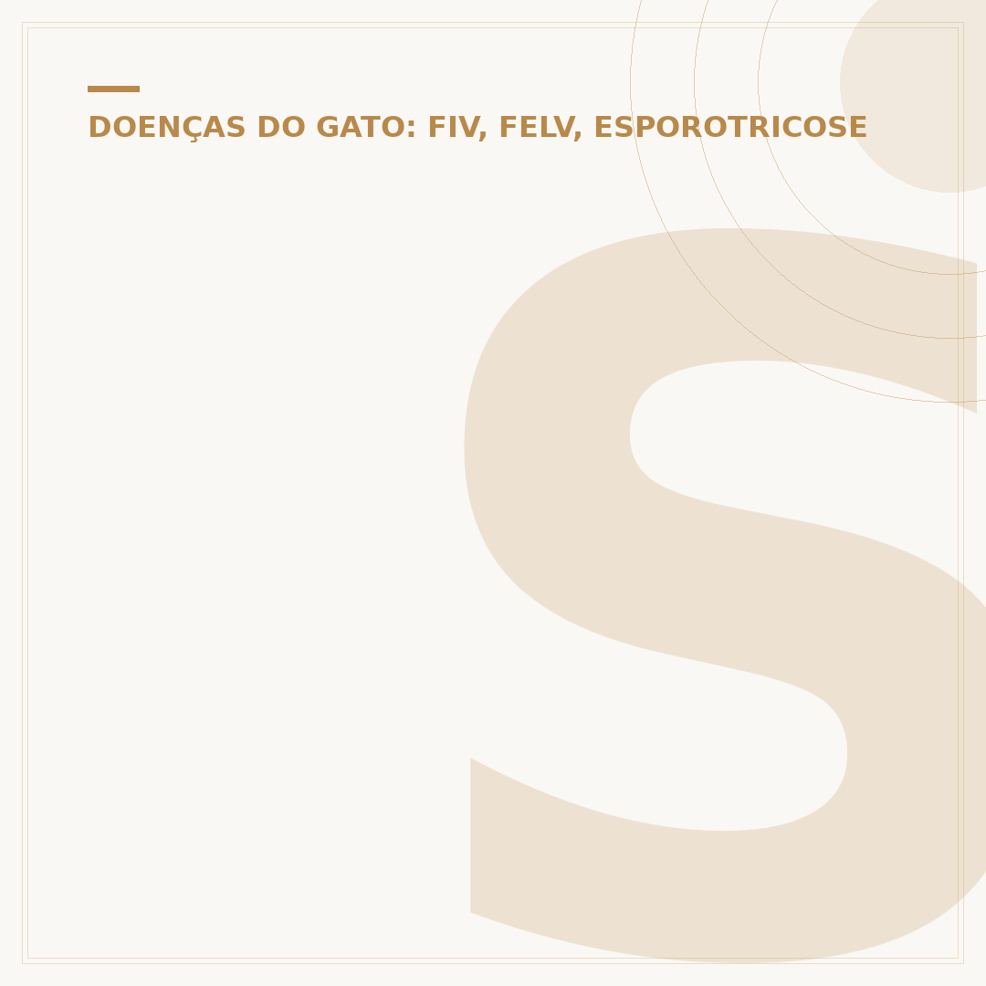 Snap FeLV FIV: entenda o teste para gatos