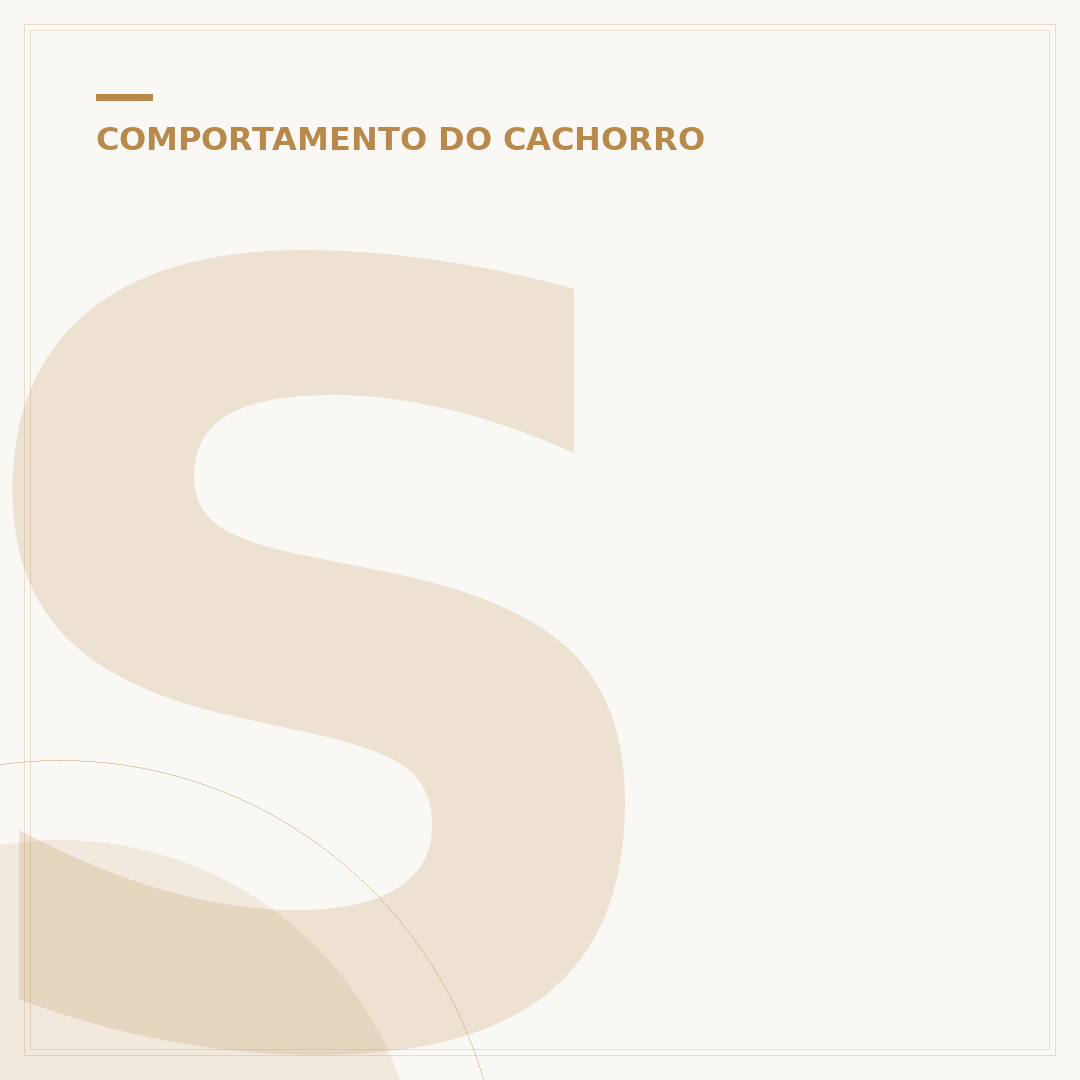 Som para acalmar cachorro: alívio para ansiedade e estresse