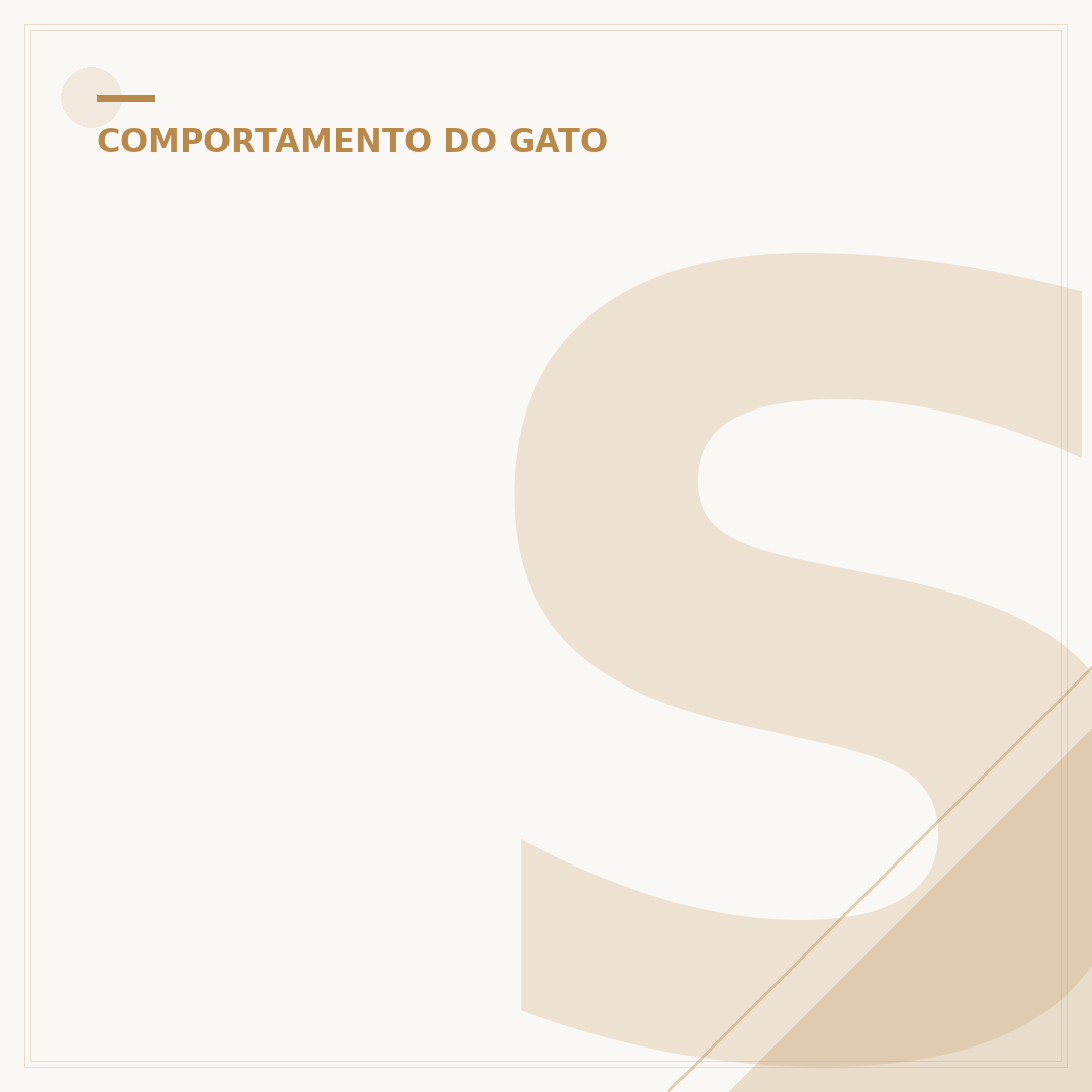 Som para acalmar gatos