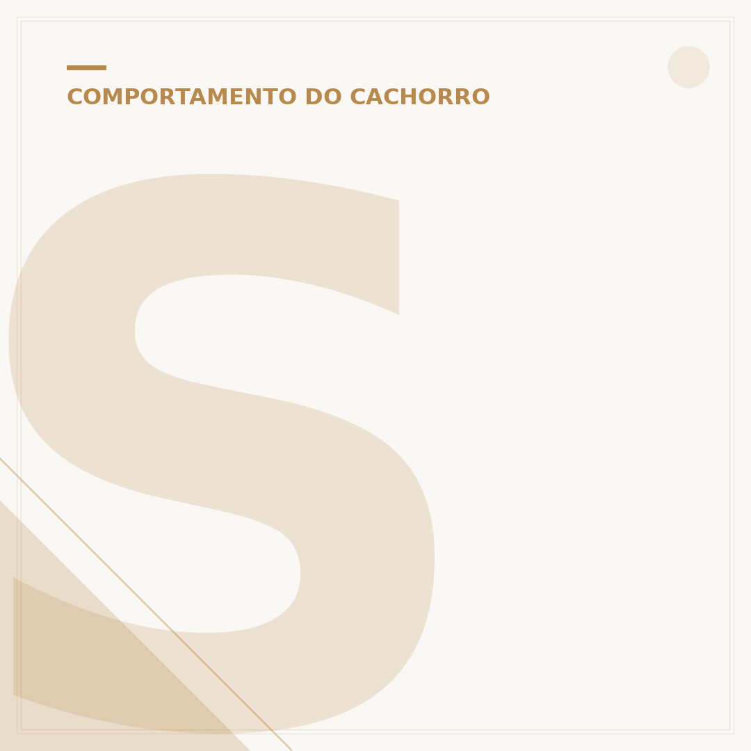 Som ultrassônico para cachorro parar de latir: funciona?