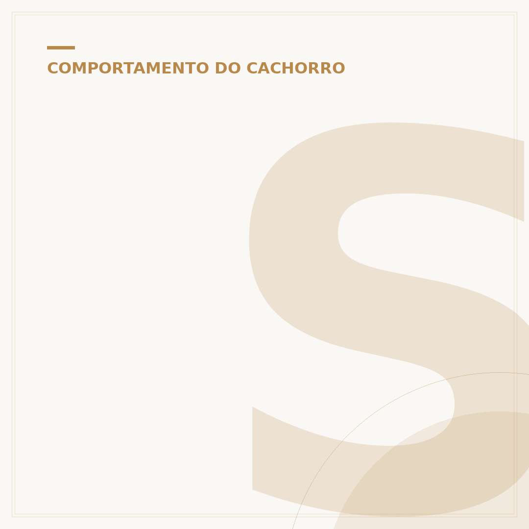 Sonhar com cachorro