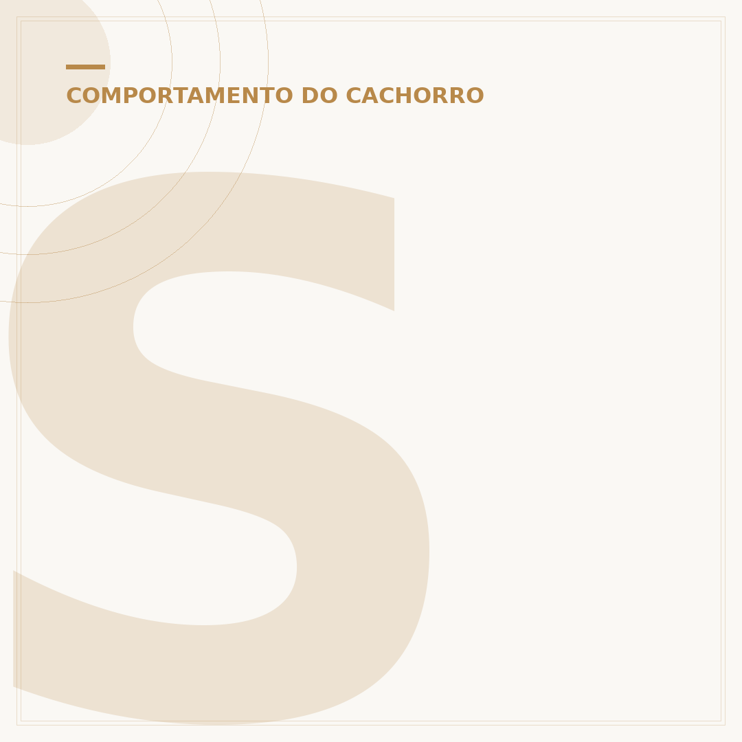 Sonha com cachorro mordendo a mão: o que pode significar?