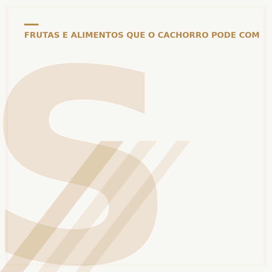Spitz Alemão pode comer manga?