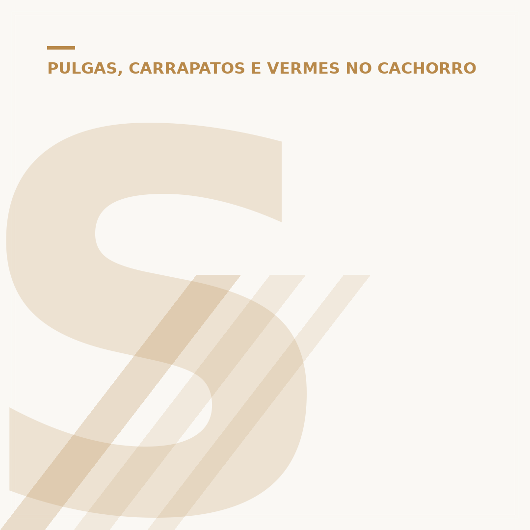 Spray para bicheira de cachorro