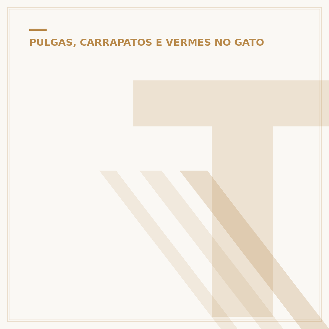 Talco para pulga gato: vale a pena? Veja alternativas
