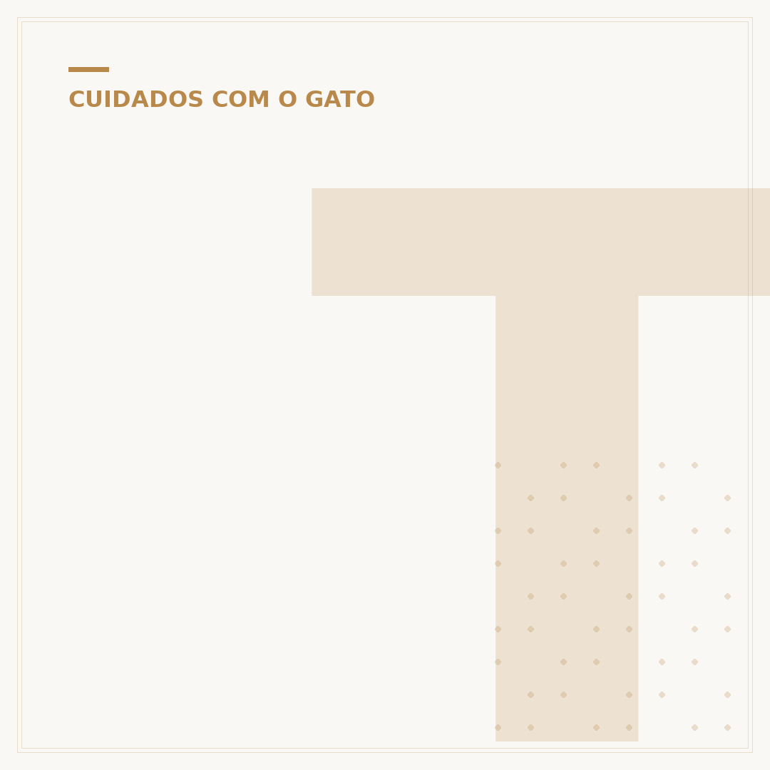 Tamanho de gato com 1 mês
