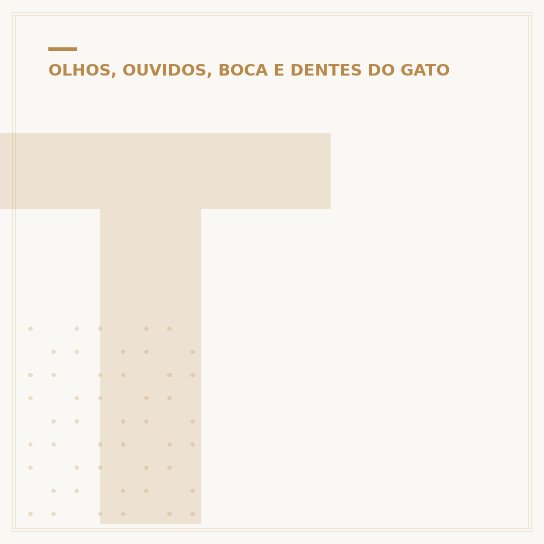 Tapa olho para gato: quando e como usar