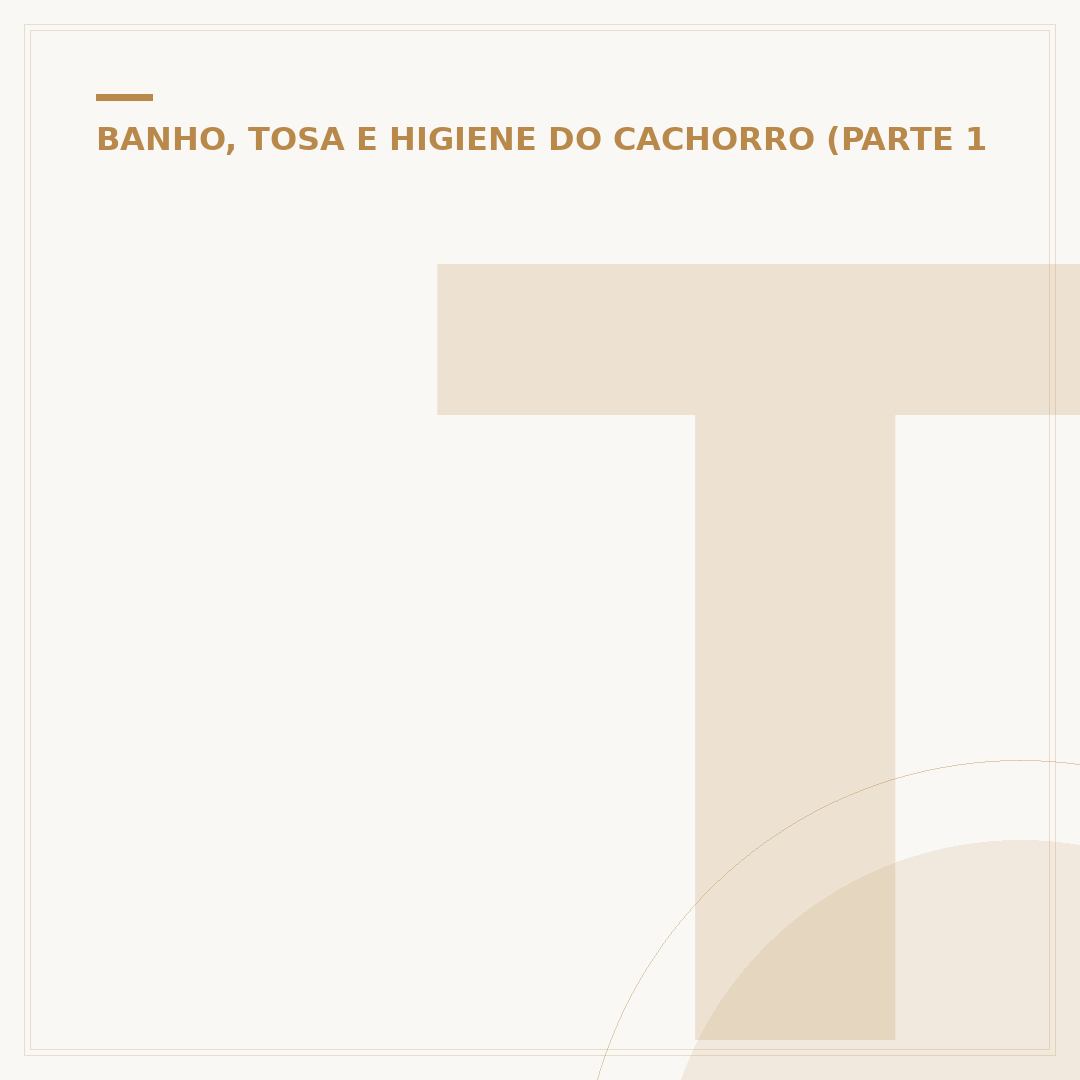 Tapete higiênico para cachorro 80x60