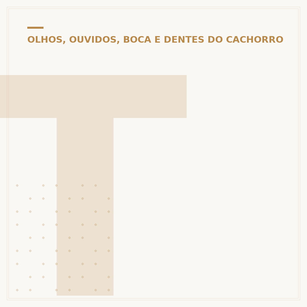 Tártaro em cachorro
