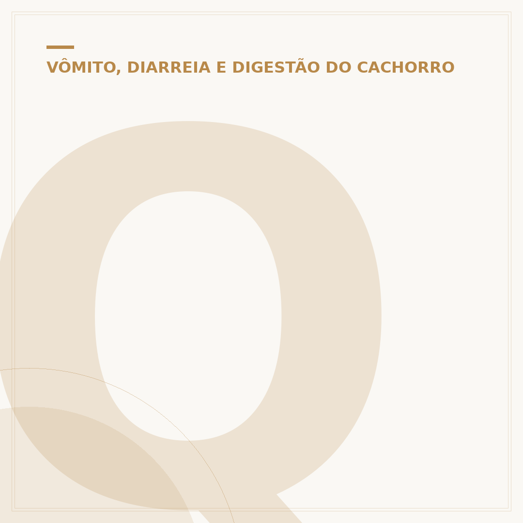 Quanto tempo demora para aparecer a barriga da cadela?