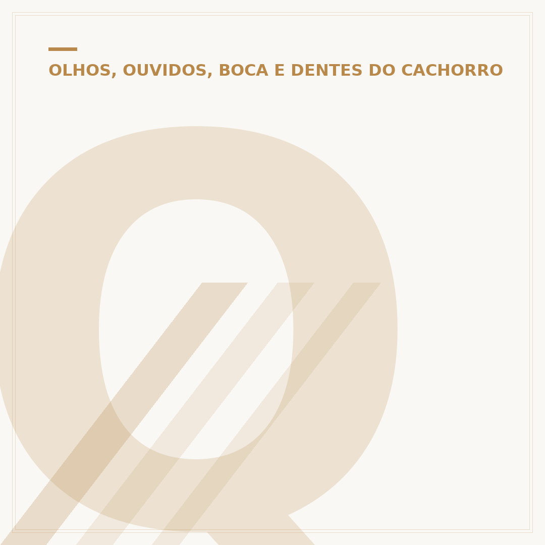 Quanto tempo o cachorro abre o olho?