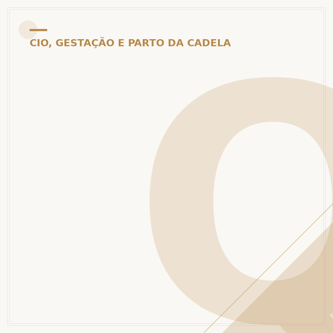 Quanto tempo demora a gestação de um cachorro?