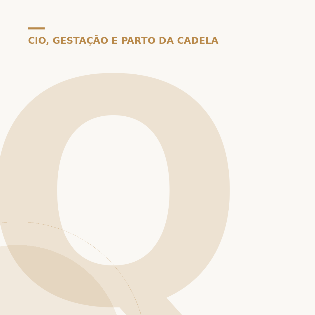Quantos meses dura a gestação de uma cadela?