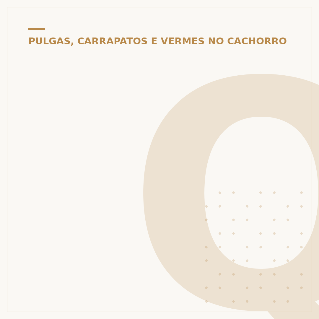 Quanto tempo dura o tratamento da doença do carrapato?