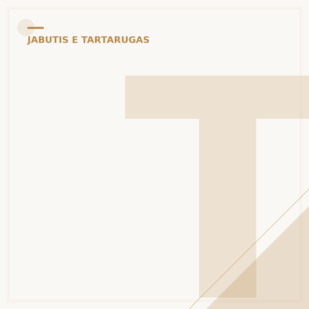 Terrário para o jabuti filhote