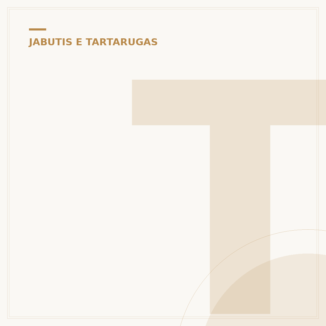 Terrário para tartaruga tigre d'água