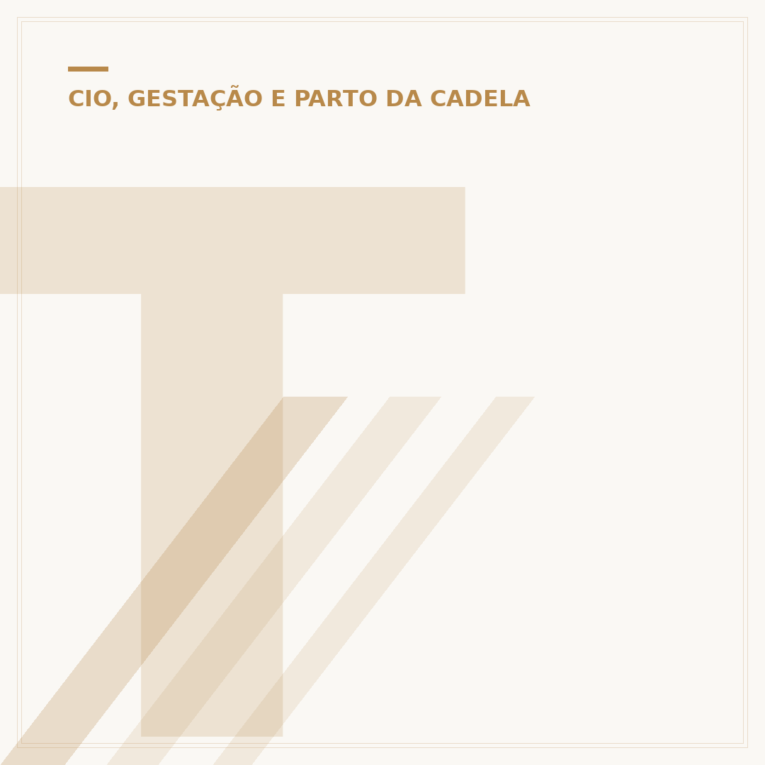 Teste de gravidez para cachorro: quando e como fazer
