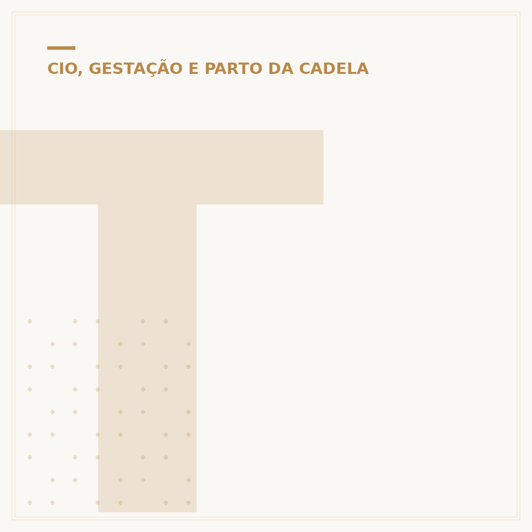 Teta de cadela: entendendo as mamas caninas e suas condições