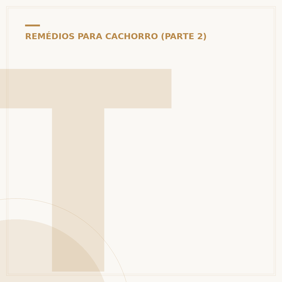 Tetraciclina para cachorro: para que serve e cuidados