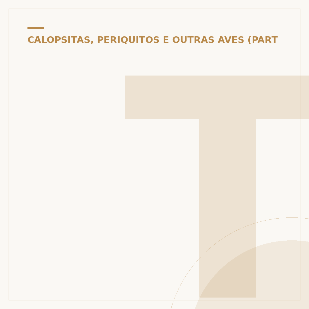 Tinta para calopsita: cores e usos inspirados na ave