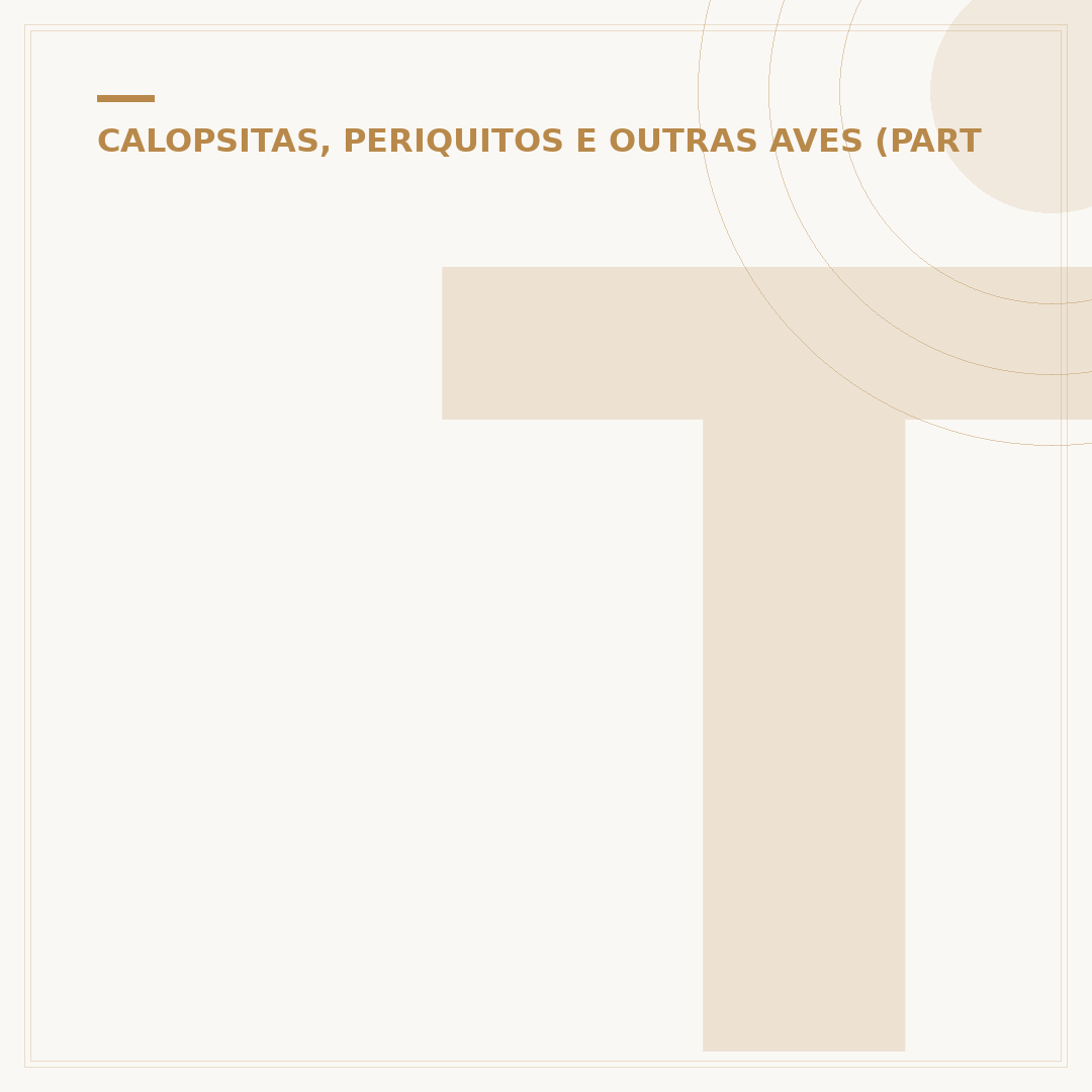 Tipos de periquito: conheça as variedades mais populares
