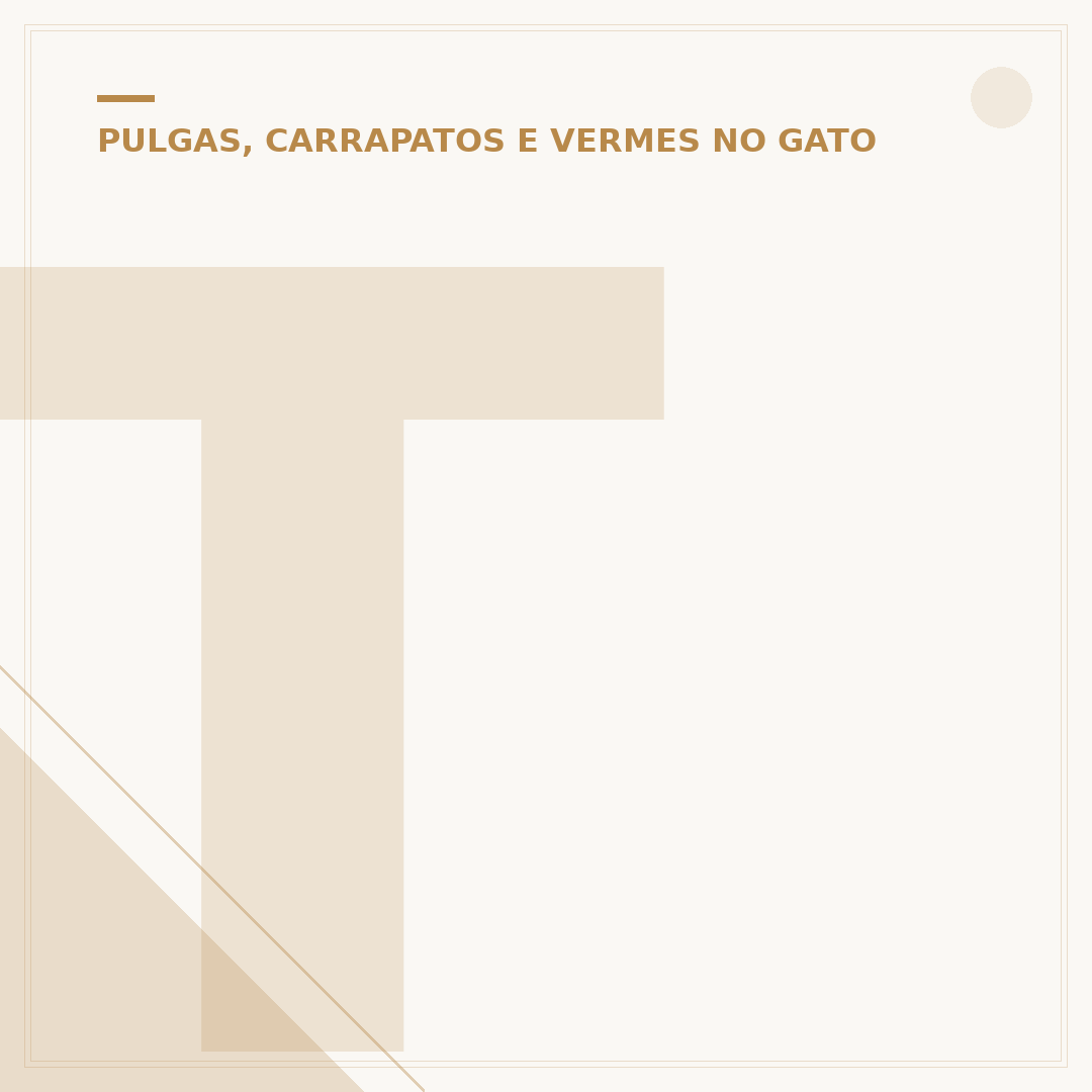 Tipos de vermes em gatos