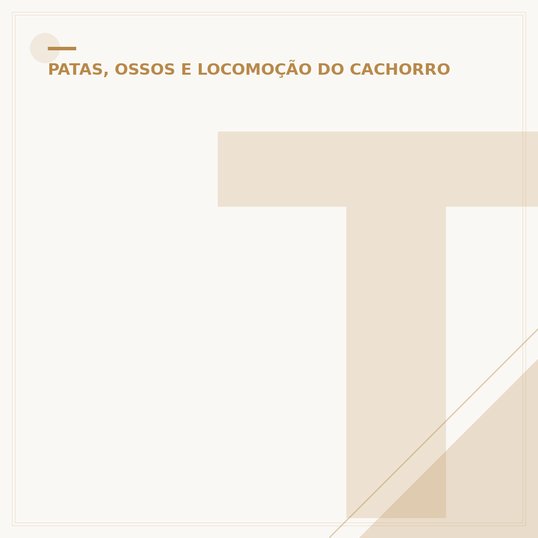 Tipos de hérnia em cachorro