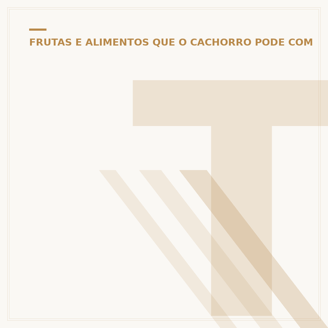 Tipos de cachorro salsicha