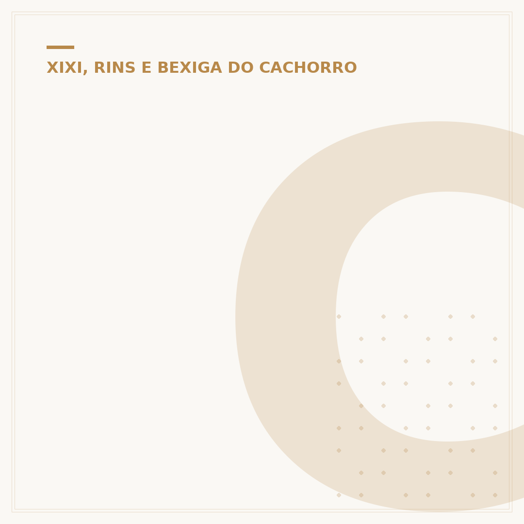 Como tirar cheiro de xixi de cachorro do sofá