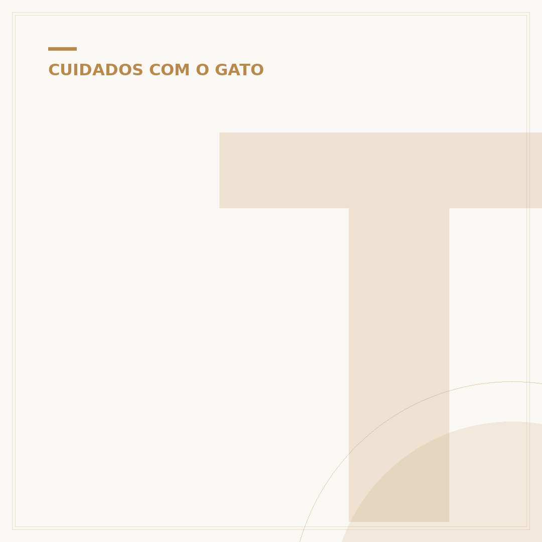 Toca para gato grande