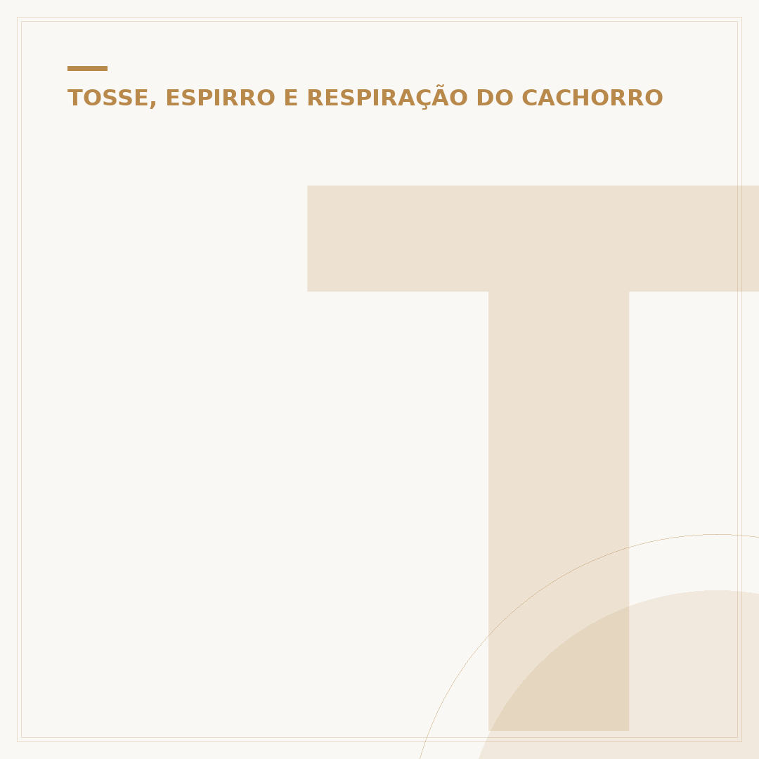 Tosse em cachorro idoso: causas e o que fazer