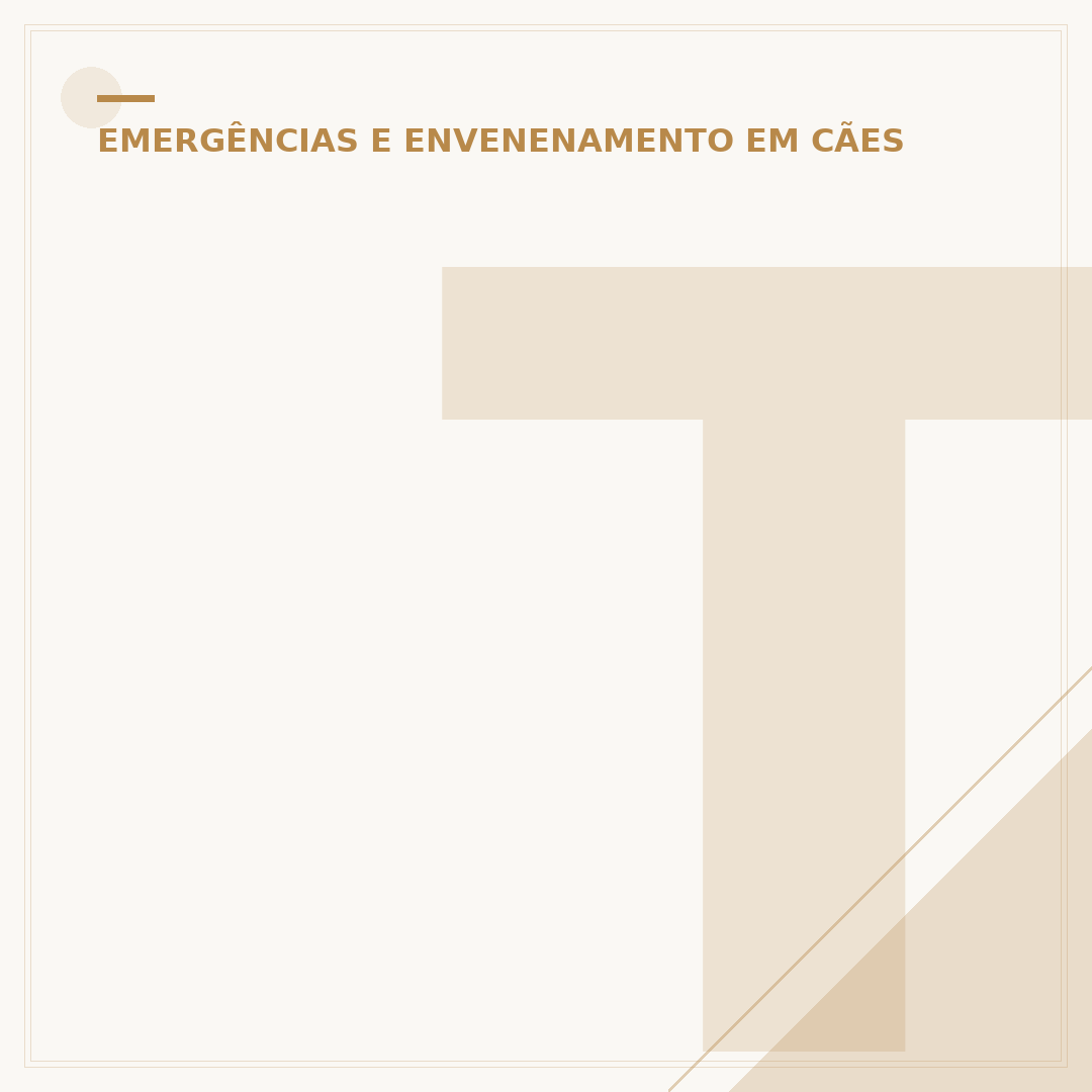 Tosse de cachorro: o que fazer se parece engasgado