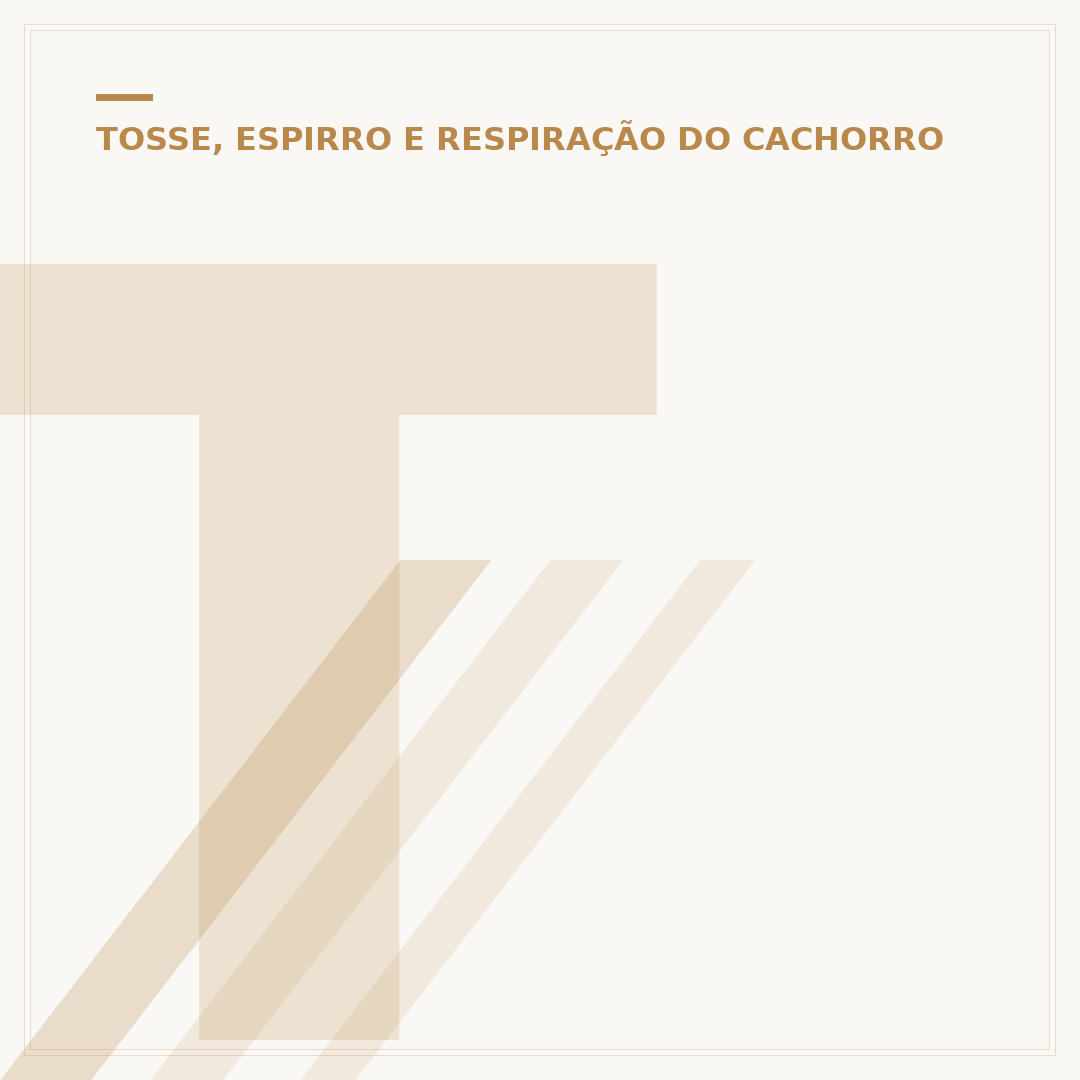 Tosse cardíaca em cães: como aliviar os sintomas
