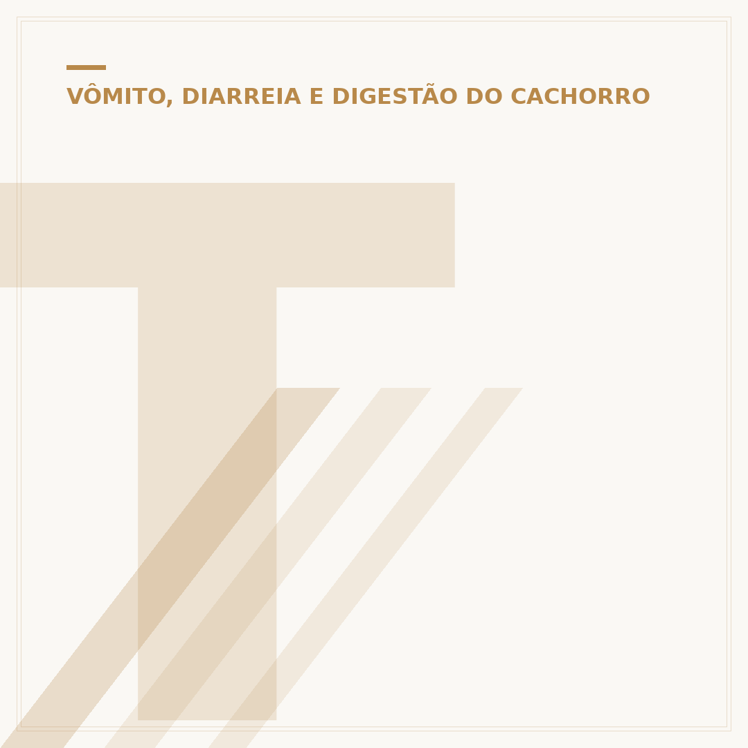 Tratamento para barriga d'água em cachorro