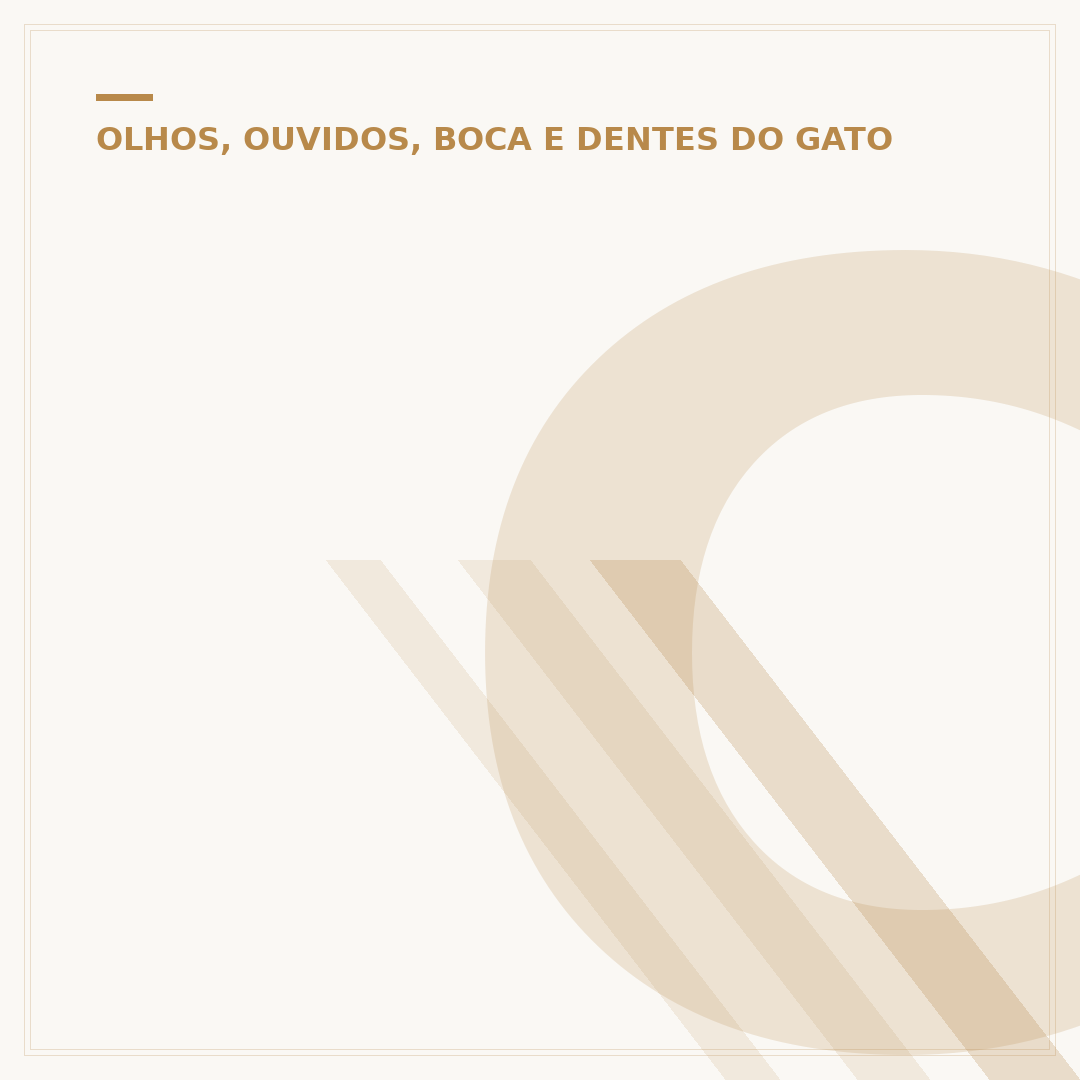 Como tratar ácaros no ouvido do gato