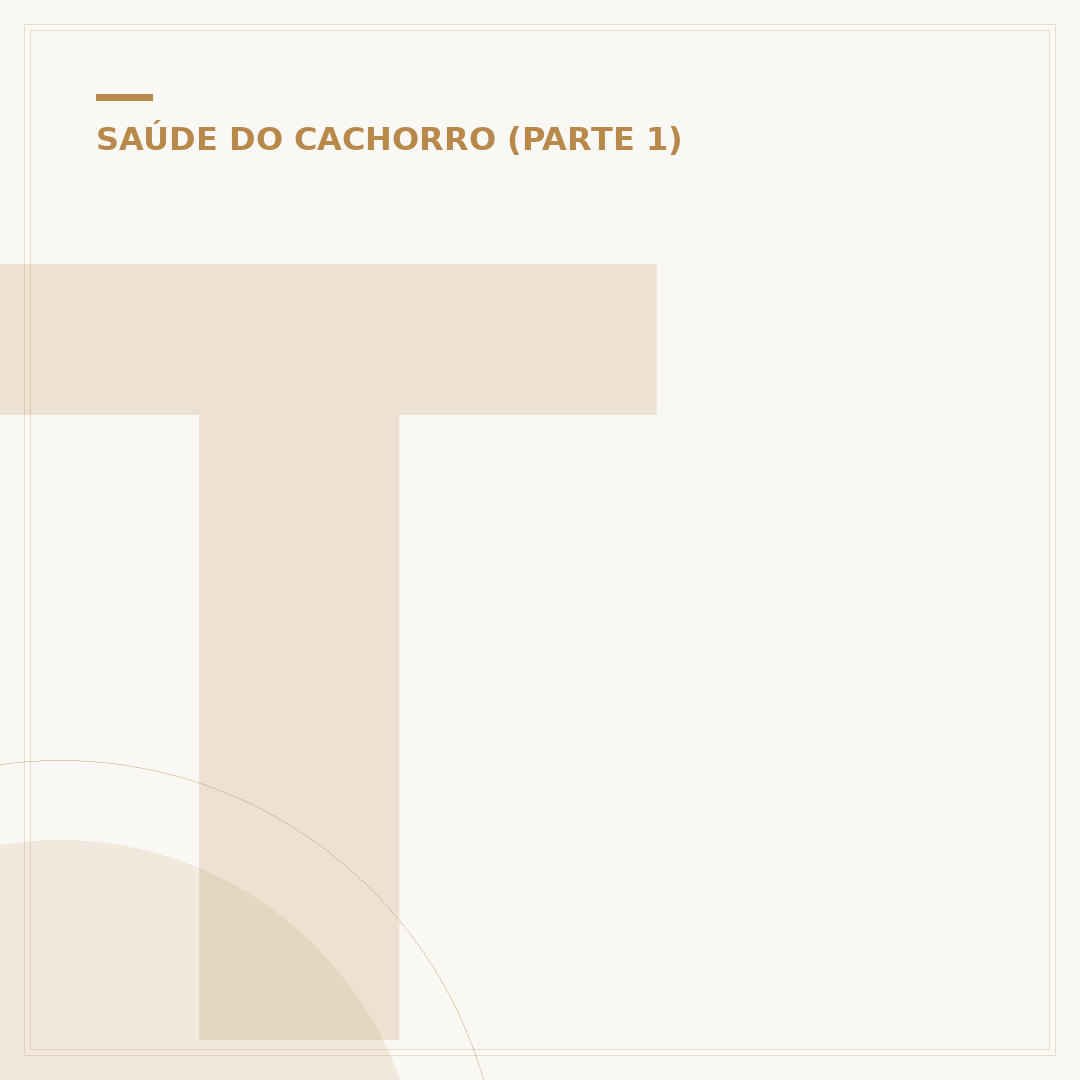 Tumor em cachorro: causas, sinais e abordagens de tratamento