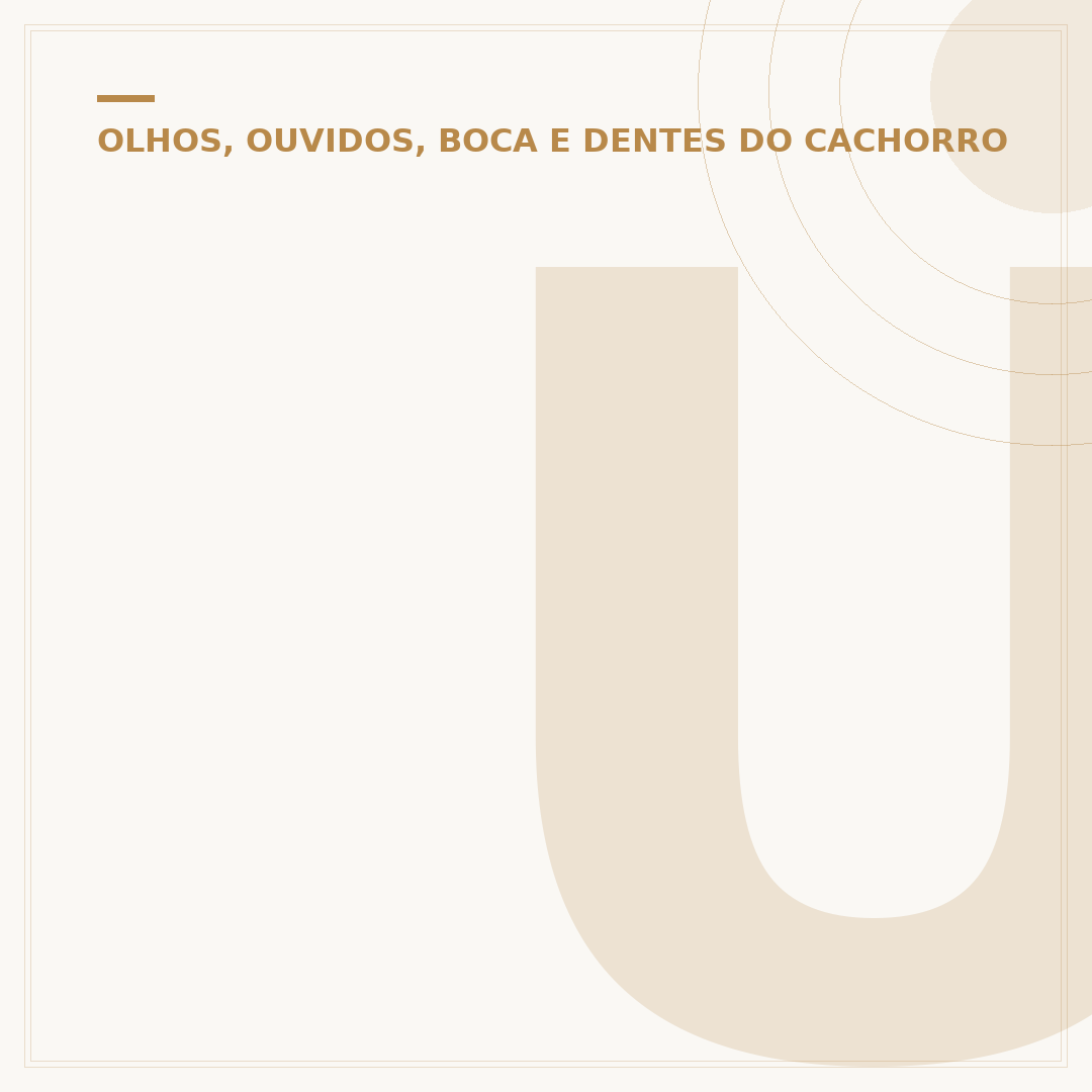 Úlcera no olho do cachorro tem cura?