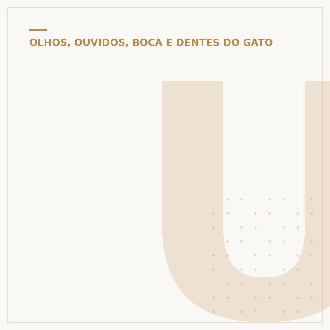 Úlcera no olho do gato: causas, sintomas e tratamentos