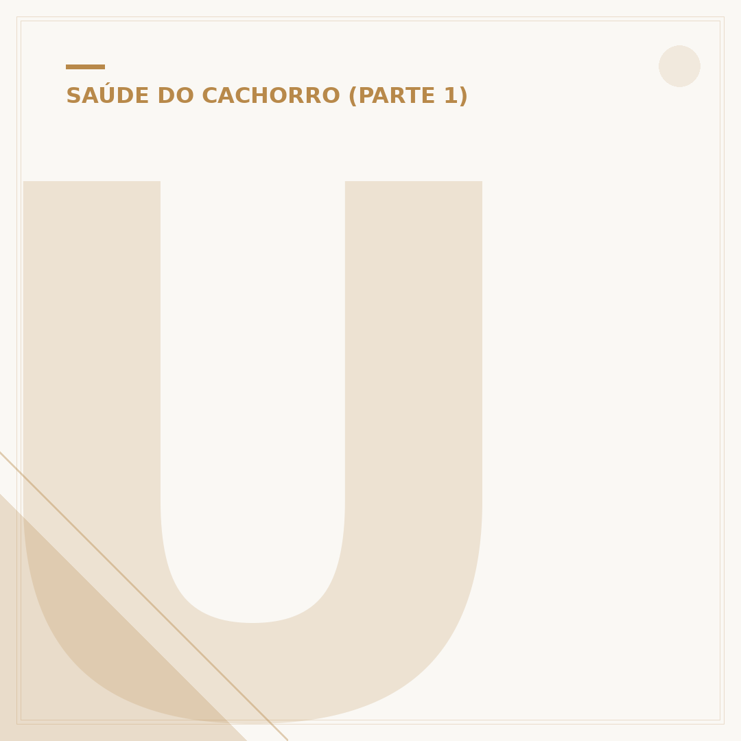 Ultrassom em Cachorro