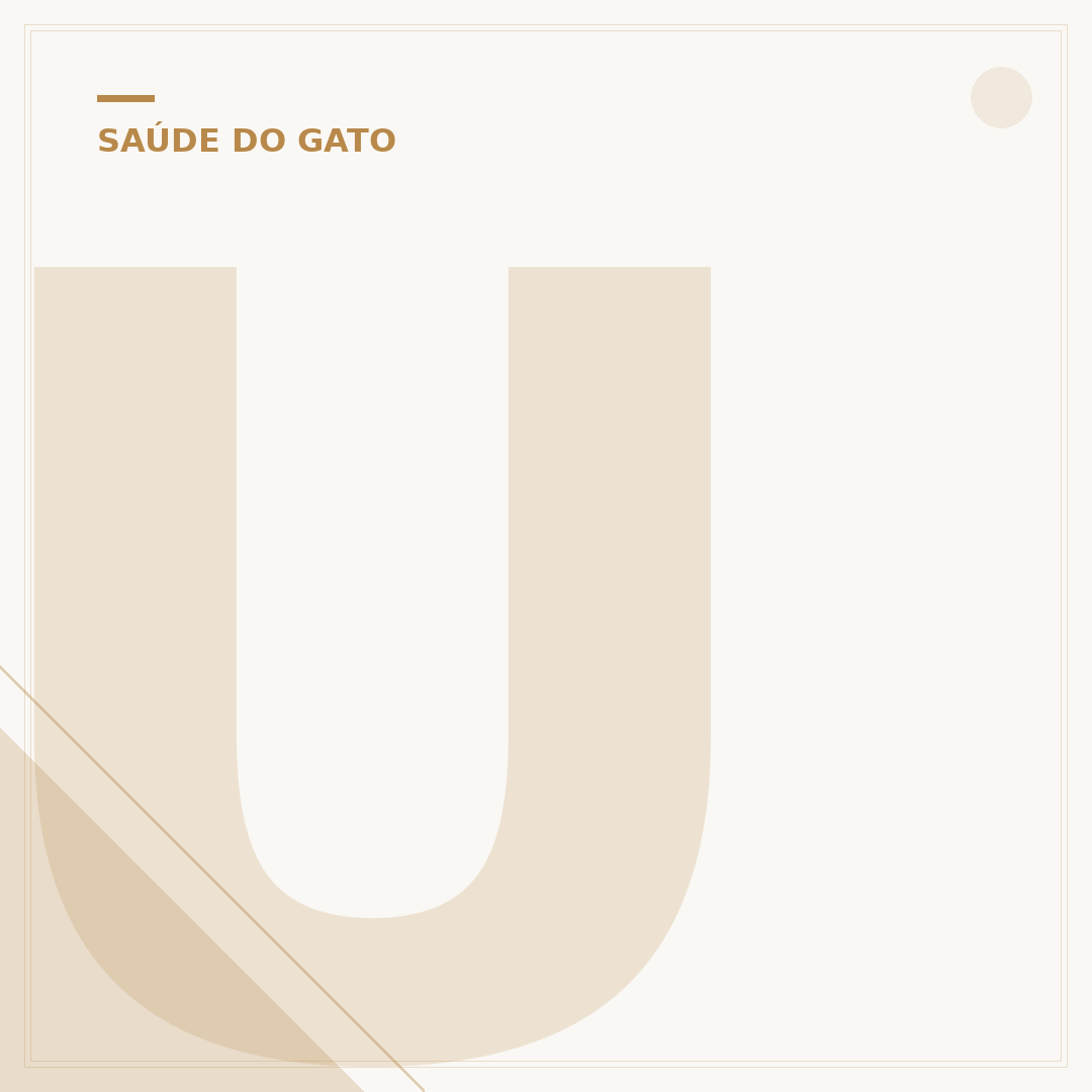 Ultrassom para Gatos